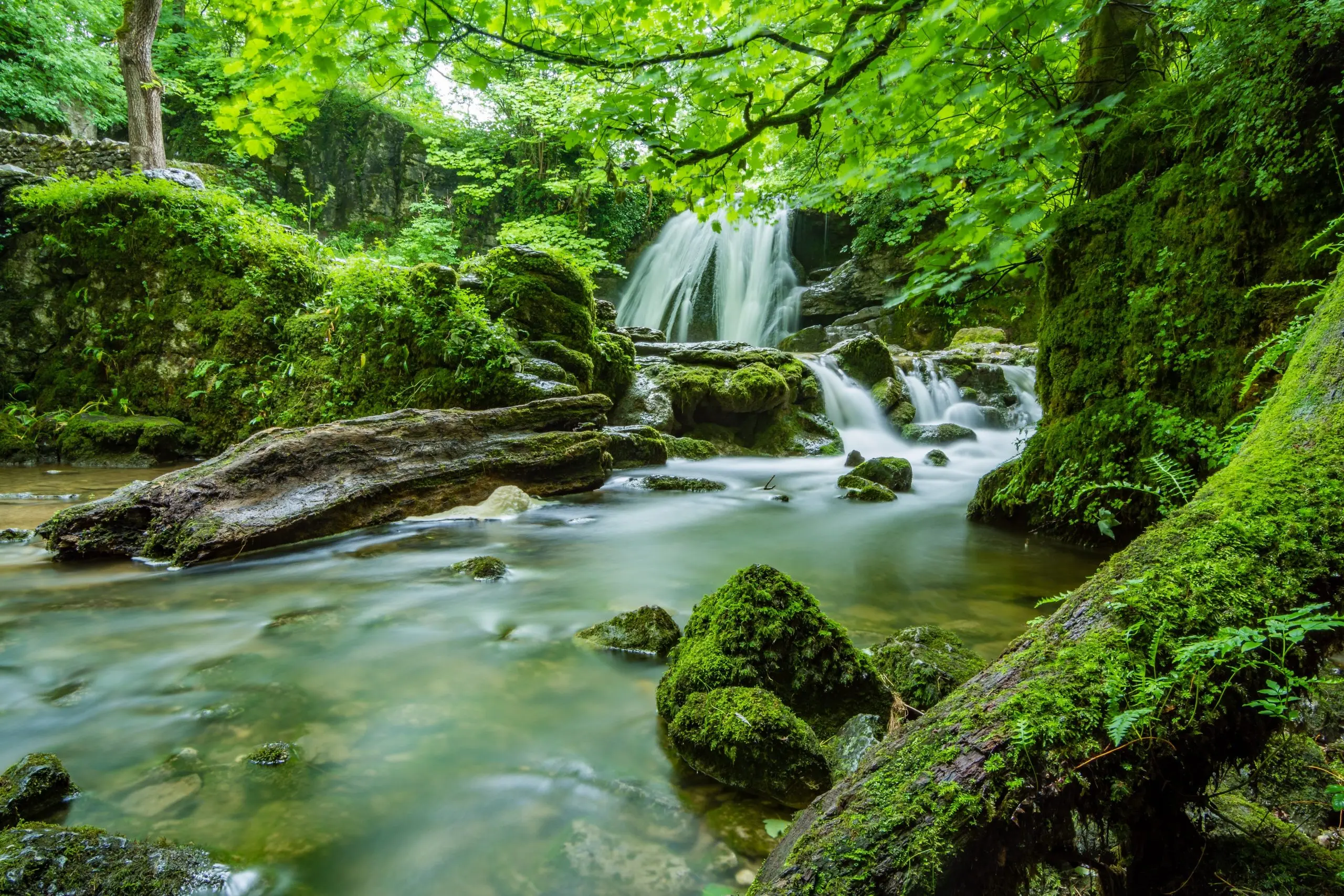 Counseling & Psychotherapy Services in Lafayette Hill, PA